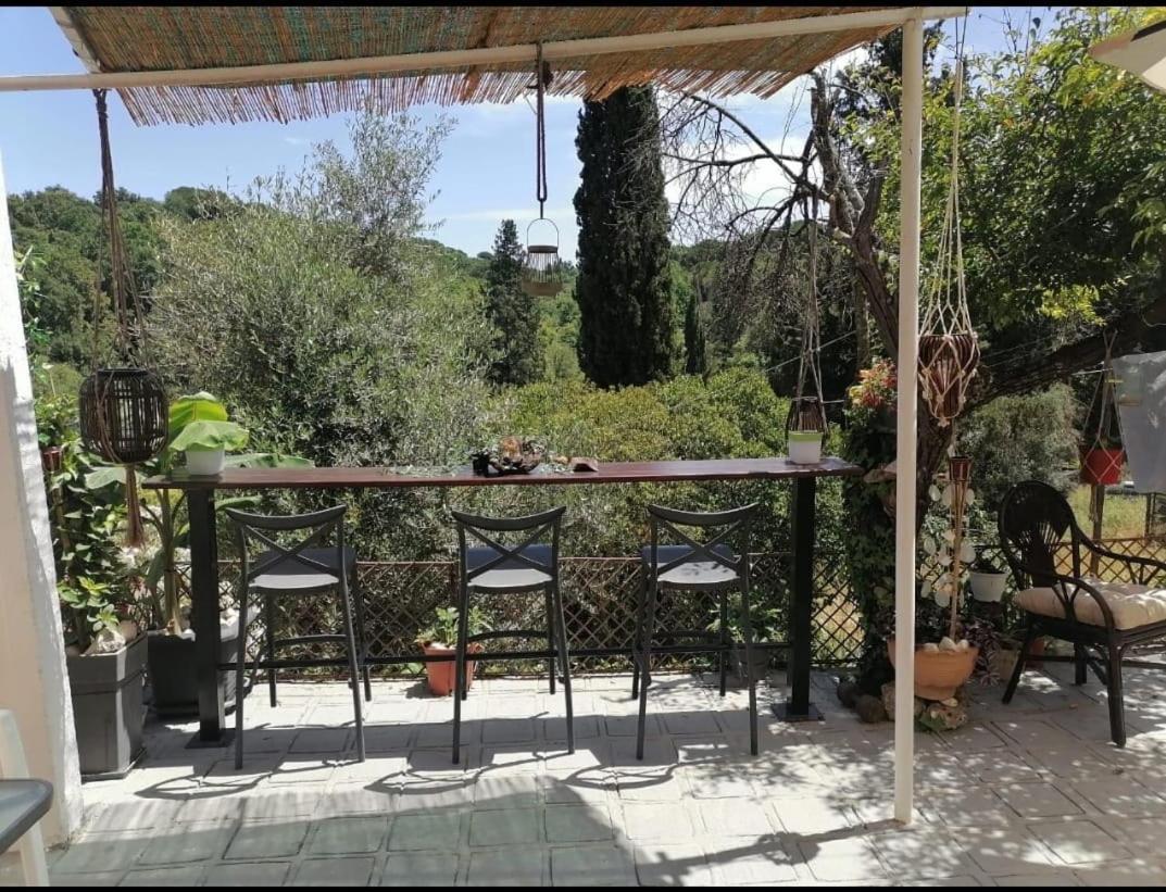 Apartament Olympia Corfu