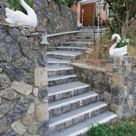 Appartamento Olympia Corfu Agios Nikolaos Esterno foto